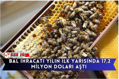 Bal İhracatı Yılın İlk Yarısında 17,2 Milyon Doları Aştı