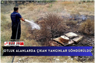 Otluk Alanlarda Çıkan Yangınlar Söndürüldü