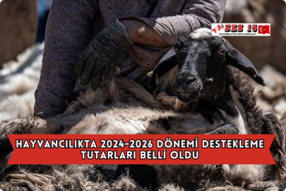 Hayvancılıkta 2024-2026 Dönemi Destekleme Tutarları Belli Oldu