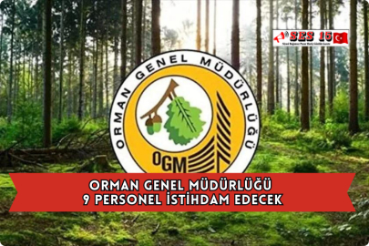 Orman Genel Müdürlüğü 9 Personel İstihdam Edecek