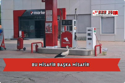 Bu misafir Başka Misafir