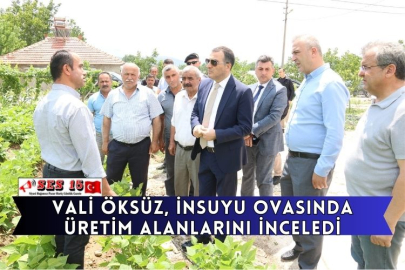 Vali Öksüz, İnsuyu Ovasında Üretim Alanlarını İnceledi