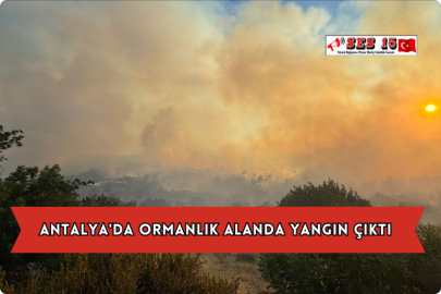 Antalya'da Ormanlık Alanda Yangın Çıktı