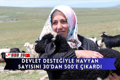 Devlet Desteğiyle Havyan Sayısını 30'dan 500'e Çıkardı