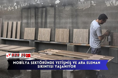 Mobilya Sektöründe Yetişmiş Ve Ara Eleman Sıkıntısı Yaşanıyor