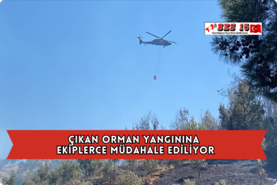 Çıkan Orman Yangınına Ekiplerce Müdahale Ediliyor