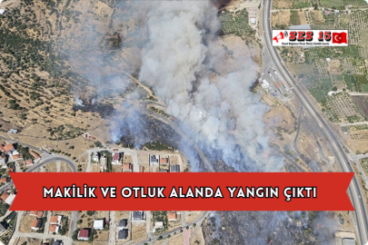 Makilik ve Otluk Alanda Yangın Çıktı