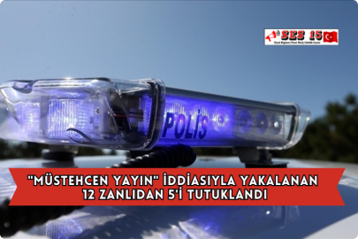 "Müstehcen Yayın" İddiasıyla Yakalanan 12 Zanlıdan 5'i Tutuklandı