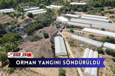 Orman Yangını Söndürüldü