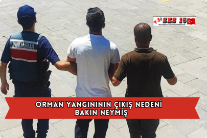 Orman Yangınının Çıkış Nedeni Bakın Neymiş