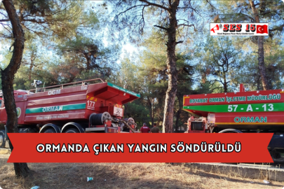 Ormanda Çıkan Yangın Söndürüldü