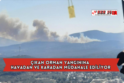 Çıkan Orman Yangınına Havadan ve Karadan Müdahale Ediliyor