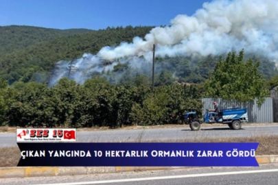 Çıkan Yangında 10 Hektarlık Ormanlık Zarar Gördü