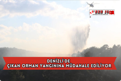 Denizli'de Çıkan Orman Yangınına Müdahale Ediliyor