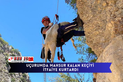 Uçurumda Mahsur Kalan Keçiyi İtfaiye Kurtardı