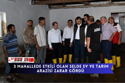 3 Mahallede Etkili Olan Selde Ev Ve Tarım Arazisi Zarar Gördü