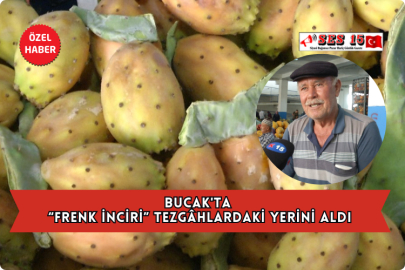 Bucak'ta “Frenk İnciri” Tezgâhlardaki Yerini Aldı