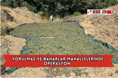 Yorulmaz ve Baharlar mahallelerinde Operasyon