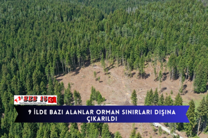 9 İlde Bazı Alanlar Orman Sınırları Dışına Çıkarıldı