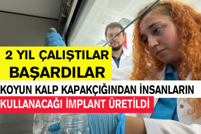 Koyun Kalp Kapakçığından İnsanların Kullanacağı İmplant Üretildi