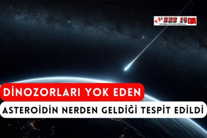 Dinozorları Yok Eden Asteroidin Nerden Geldiği Tespit Edildi