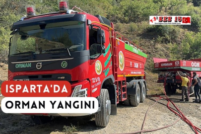 Isparta'da Orman Yangını