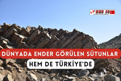 Dünyada Ender Görülen Sütunlar Hem de Türkiye'de