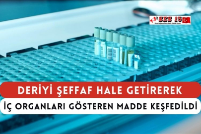 Deriyi Şeffaf Hale Getirerek İç Organları Gösteren Madde Keşfedildi