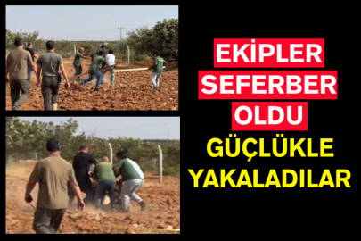 Ekipler Seferber Oldu; Güçlükle Yakaladılar