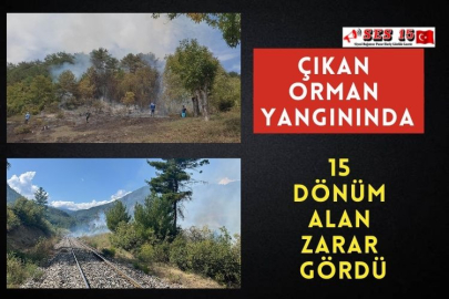 Çıkan Orman Yangınında 15 Dönüm Alan Zarar Gördü