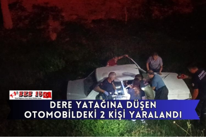 Dere Yatağına Düşen Otomobildeki 2 Kişi Yaralandı