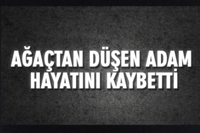 Ağaçtan Düşen Adam Hayatını Kaybetti