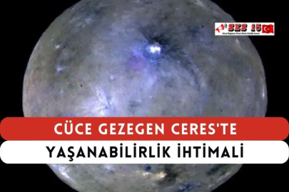 Cüce Gezegen Ceres'te Yaşanabilirlik İhtimali