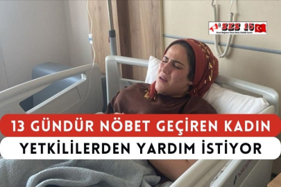 13 Gündür Nöbet Geçiren Kadın Yetkililerden Yardım İstiyor