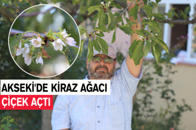 Akseki'de Kiraz Ağacı Çiçek Açtı