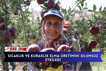 Sıcaklık Ve Kuraklık Elma Üretimini Olumsuz Etkiledi