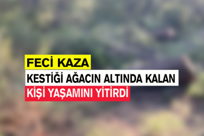 Kestiği Ağacın Altında Kalan Kişi Yaşamını Yitirdi