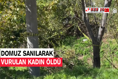 Domuz Sanılarak Vurulan Kadın Öldü