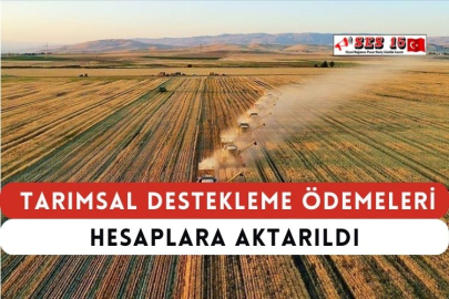 Tarımsal Destekleme Ödemeleri Hesaplara Aktarıldı