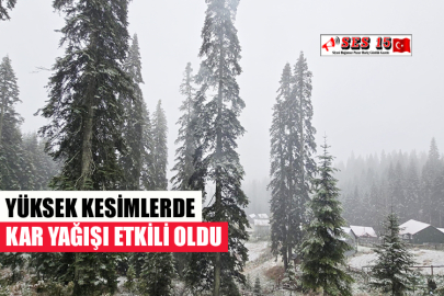 YÜKSEK KESİMLERDE KAR YAĞIŞI ETKİLİ OLDU