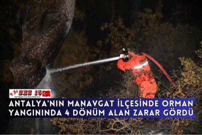 Antalya'nın Manavgat İlçesinde Orman Yangınında 4 Dönüm Alan Zarar Gördü