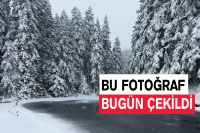 Bu Fotoğraf Bugün Çekildi