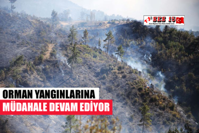 ORMAN YANGINLARINA MÜDAHALE DEVAM EDİYOR