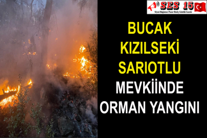 Bucak Kızılseki Sarıotlu Mevkiinde Orman Yangını