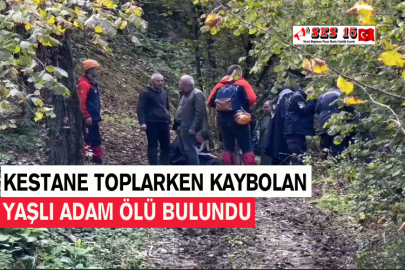 Kestane Toplarken Kaybolan Yaşlı Adam Ölü Bulundu