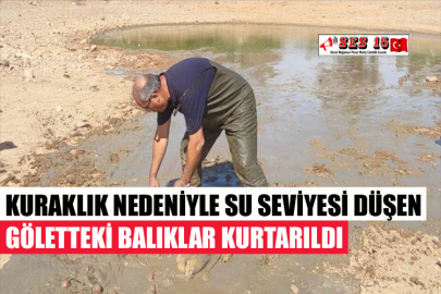 KURAKLIK NEDENİYLE SU SEVİYESİ DÜŞEN GÖLETTEKİ BALIKLAR KURTARILDI