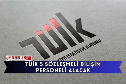 TÜİK 5 Sözleşmeli Bilişim Personeli Alacak