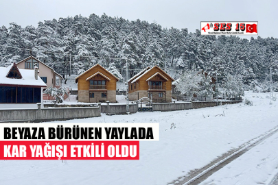 BEYAZA BÜRÜNEN YAYLADA KAR YAĞIŞI ETKİLİ OLDU