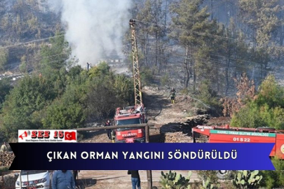 Çıkan Orman Yangını Söndürüldü