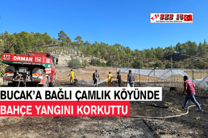 Bucak’a Bağlı Çamlık Köyünde Bahçe Yangını Korkuttu